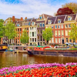 Amsterdam canal lined with traditional old houses and spring tulips
