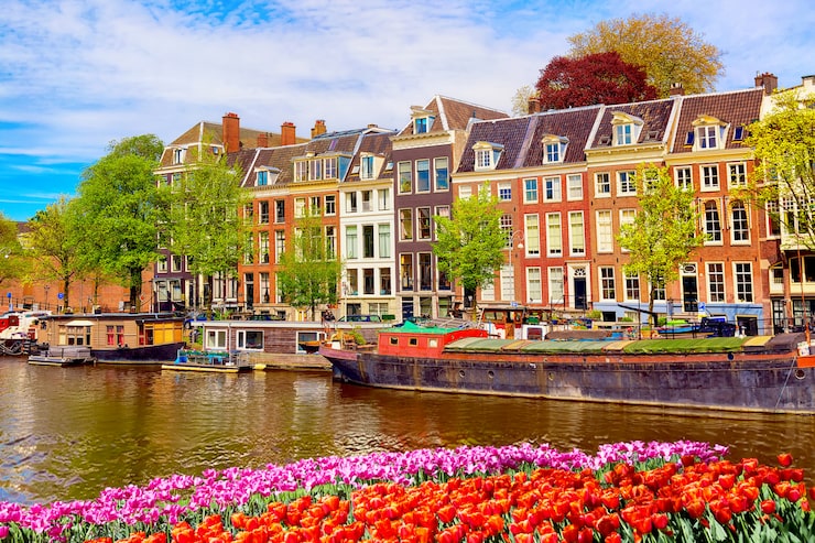 Amsterdam canal lined with traditional old houses and spring tulips